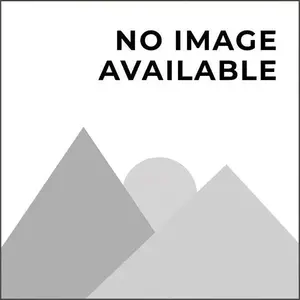 Socar Chemical WL4 1 Gal. White Lightening