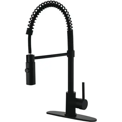 Single-Handle Pull-Down Sprayer Kitchen Faucet in Black Single-Handle Pull-Down Sprayer Kitchen Faucet in Black