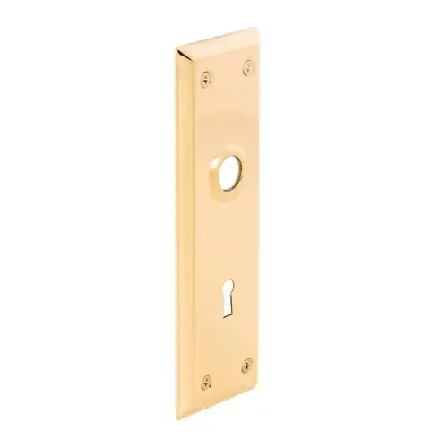 Vintage Dr Escutcheon Trim Plates, 2-7/32in X 7in, Brass Stl