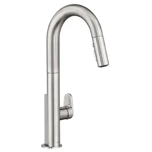 Beale Traditional Pull-Down Kitchen Faucet (Stainless Steel)