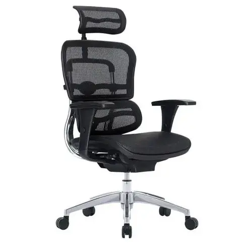 12000 Series Ergonomic Mesh High-Back Black/Chrome Bifma Compliant 12000 Series Ergonomic Mesh High-Back Black/Chrome Bifma Compliant