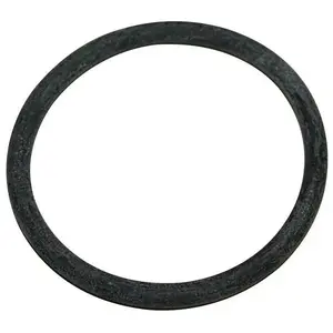STA-RITE U9-374Z Max-E-Pro/Max-E-Glass II Diffuser O-Ring
