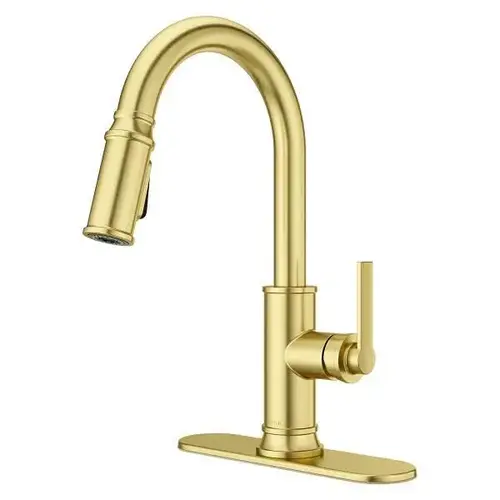 Price Colfax Pulldown Kitchen Faucet Brushed Gold Price Colfax Pulldown Kitchen Faucet Brushed Gold