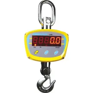 ADAM Equipment LHS 1000A 1,000 Pound Capacity Industrial Crane Scale