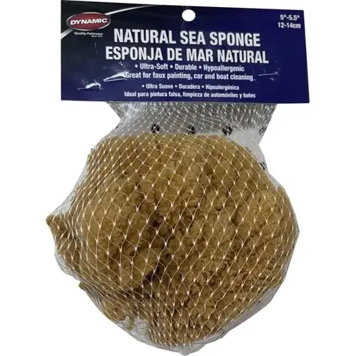00004 Natural Sea Sponge 5" - 5.5" 12-14cm 00004 Natural Sea Sponge 5" - 5.5" 12-14cm