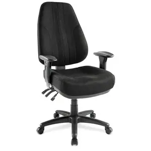 The Raynor Group, Inc D440P-CARBON Miranda Black Multi-Function High-Back Chair