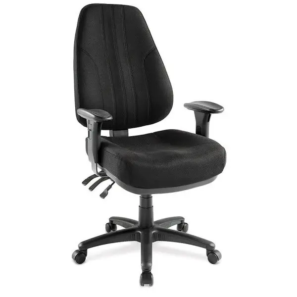 The Raynor Group Inc Miranda Black Multi-Function High-Back Chair D440P-CARBON The Raynor Group Inc Miranda Black Multi-Function High-Back Chair D440P-CARBON