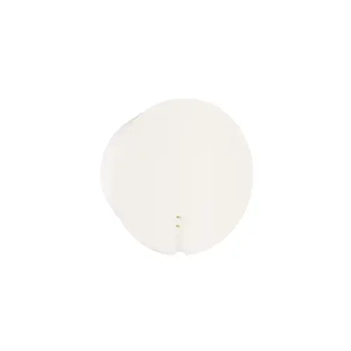 Wireless Dual Flood Sensing Water and Temperature Sensor, 345 MHz