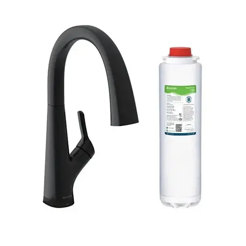 Avado Single Hole Kitchen Faucet Filtered Drinking Water Matte Black
