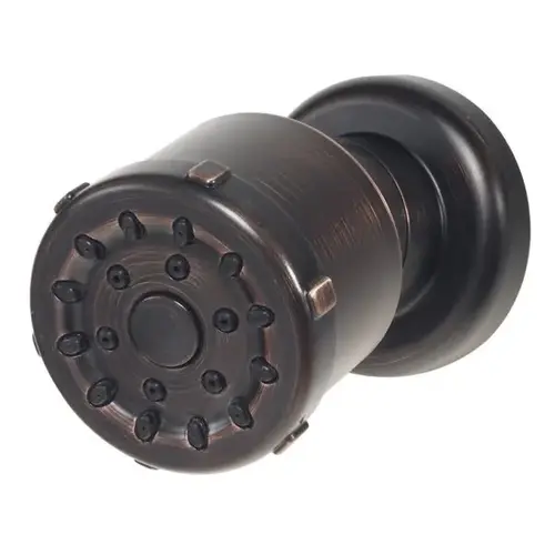 Shower Body Jet, 1.6 Gpm, 2.562" Dia Head Bronze