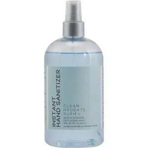 Theochem Laboratories, Inc. S103600 16 Oz Instant Hand Sanitizer Spray