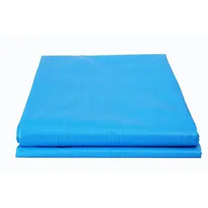 MAINTENANCE WAREHOUSE KSLD0810 8 x10 ft Blue Light Duty Tarp
