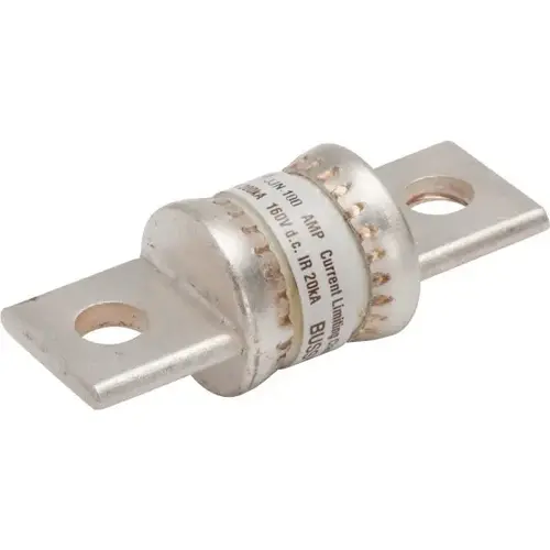 100 Amp 300 Volt Class T Fuse