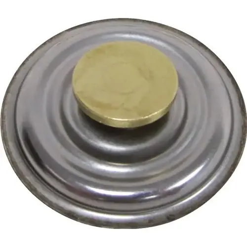 Steam Trap Replacement Disc, For All 1e Models