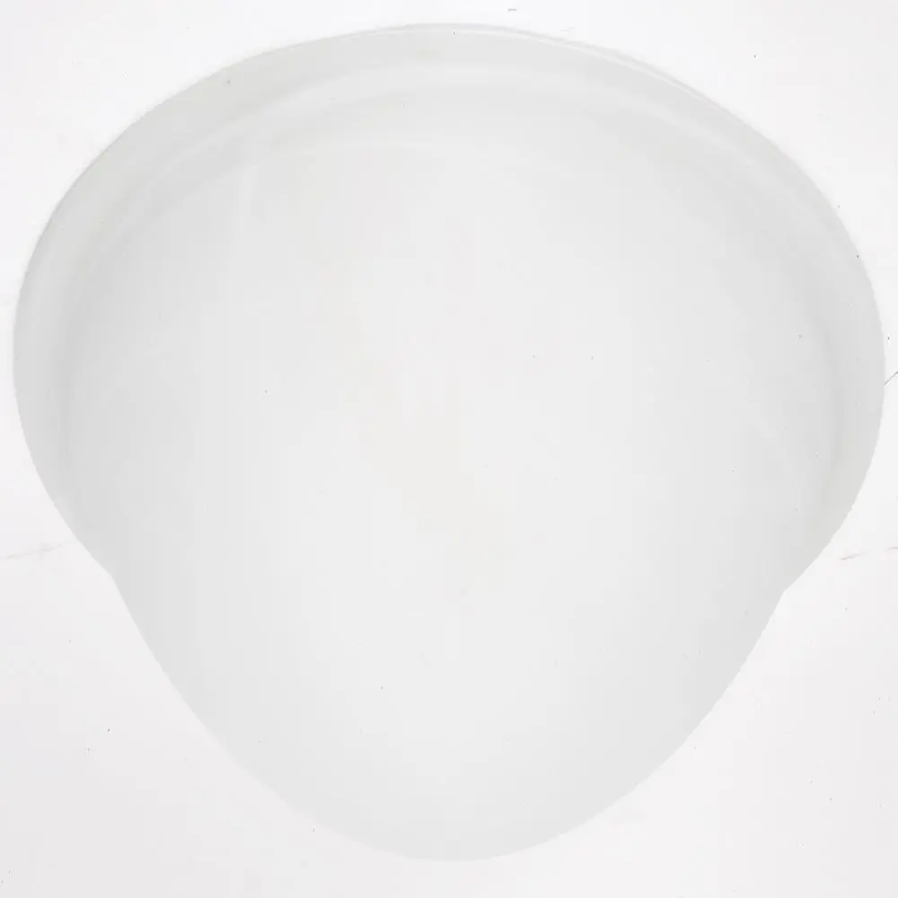 GENERIC PRIVATE BRAND 15.75 In. Alabaster-Style Bowl Light Fixture Cover (2-Pack) 315130 GENERIC PRIVATE BRAND 15.75 In. Alabaster-Style Bowl Light Fixture Cover (2-Pack) 315130