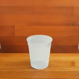 Placon V320000002 Deli Container Base 32 OZ PP Clear Round - pack of 500