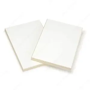 Garnica FGPRIMED342S Plywood - Primed