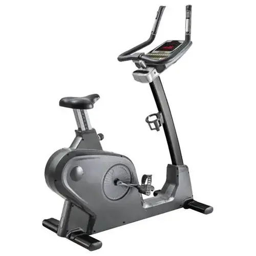 Galaxy Series Upright Bike