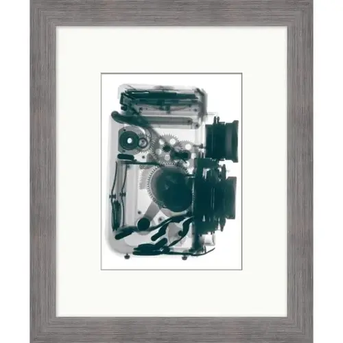 Xray, Trendy Scheme, Silver Frame