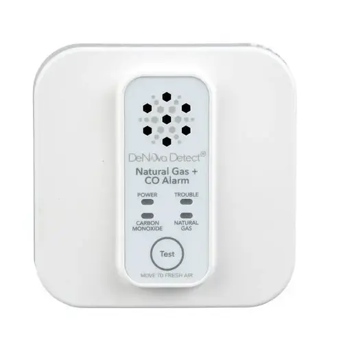 10-Year Battery-Powered Natural Gas/Carbon Monoxide Combo Alarm With Voice Alert