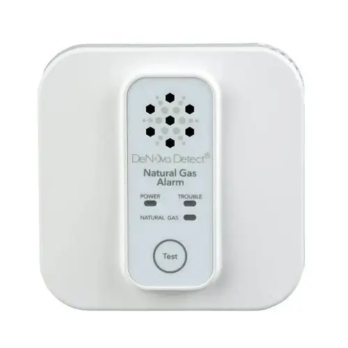 10-Year Battery-Powered Natural Gas Alarm With Voice Alert