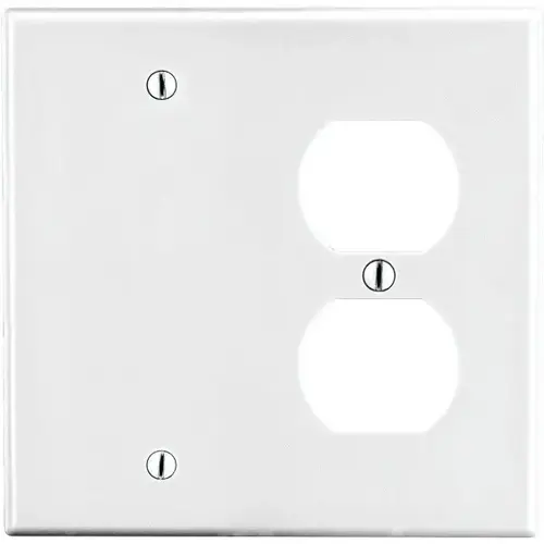 Combination Nylon Wall Plate (White) Combination Nylon Wall Plate (White)