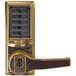 Bright Brass