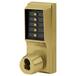 Bright Brass