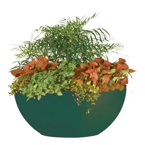Classic Look Flat Bottom Planter, 3-7/8 X 12-1/2, Hunter Green Classic Look Flat Bottom Planter, 3-7/8 X 12-1/2, Hunter Green