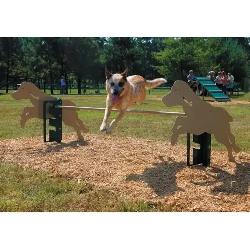 Dog Park Rover Jump Over Dog Park Rover Jump Over