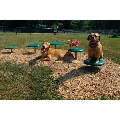 Dog Park Stepping Paws (Green/Beige)