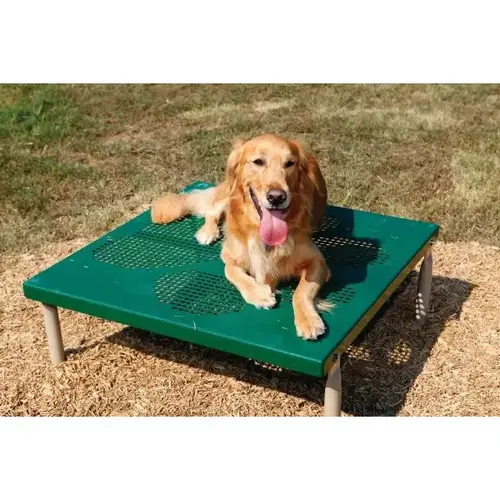 Dog Park Paws Table (Green/Beige)