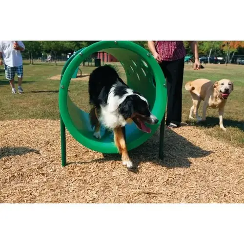 Dog Park Doggie Crawl