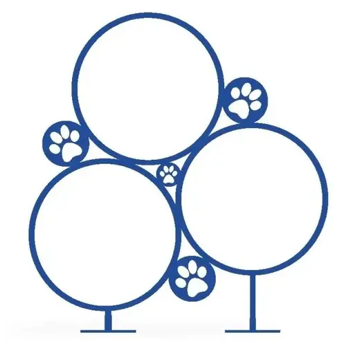 Playful Hoop Jump (Blue) Playful Hoop Jump (Blue)