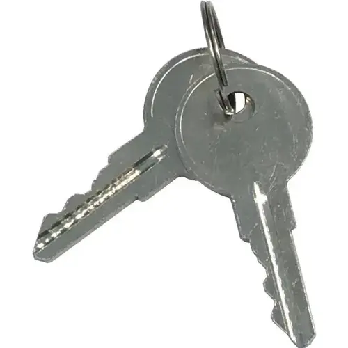Replacement Fido Key Silver
