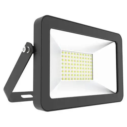 50w Security Flood Light