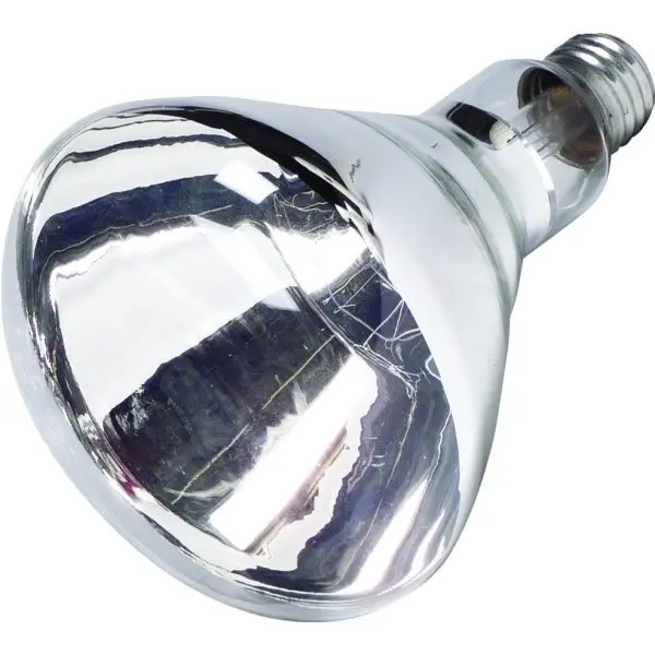 GENERIC PRIVATE BRAND Reflector Bulb 250w Heat Clear 130v 311100