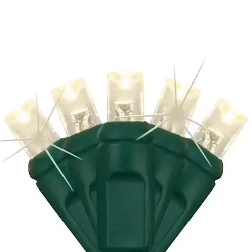 Softtwinkle 50 LED Christmas Lights, Green Wire, Warm White Softtwinkle 50 LED Christmas Lights, Green Wire, Warm White