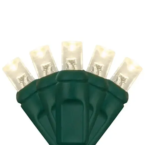 Softtwinkle 70 LED Christmas Lights, Green Wire, Warm White