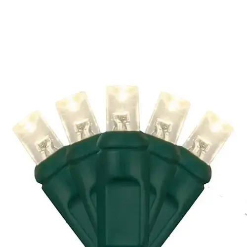 4 ft X 6 ft LED Net Lights On Green Wire, 100 Warm White