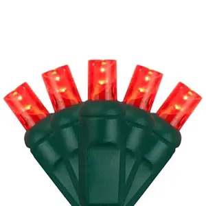 Wintergreen Lighting 83149 Softtwinkle 70 LED Christmas Lights, Green Wire, Red