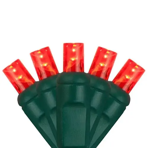 Softtwinkle 70 LED Christmas Lights, Green Wire, Red Softtwinkle 70 LED Christmas Lights, Green Wire, Red