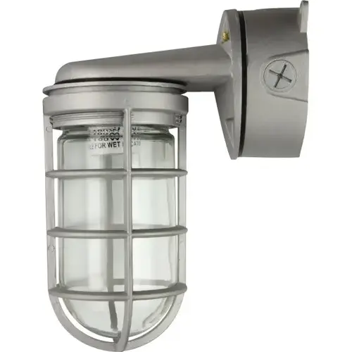 Jelly Jar 7.3 X 9.67 In. Led Outdoor Wall Sconce