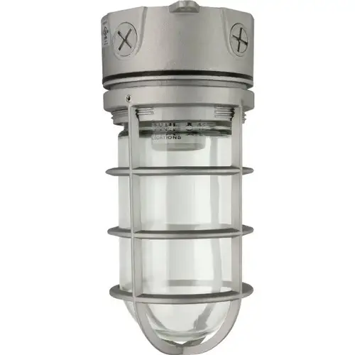 Jelly Jar 5.3 X 9.25 In. Led Outdoor Wall Sconce