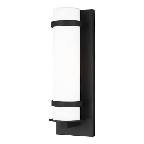 Alban 1-Light Black Wall Lantern Sconce With Etched Opal Alban 1-Light Black Wall Lantern Sconce With Etched Opal