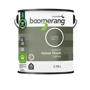 boomerang 5181-17 Boomerang Interior Paint, Latex, Velvet, Lichen, 3.78 L