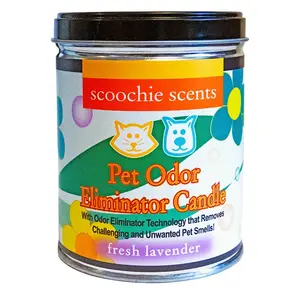 Scoochie Scents & Candles 261 Scoochie Scents Fresh Lavender Pet Odor Eliminator Candle Tin