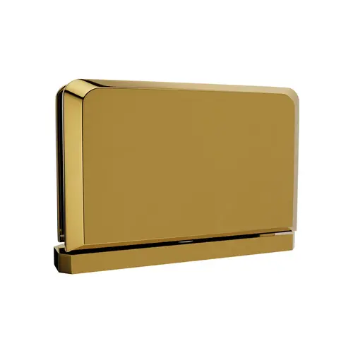 Adjustable Pivot Top Or Bottom Mount Hinge Glass To Curb Mount 3/8" and 1/2" Glass Thickness Lifetime Brass Finish