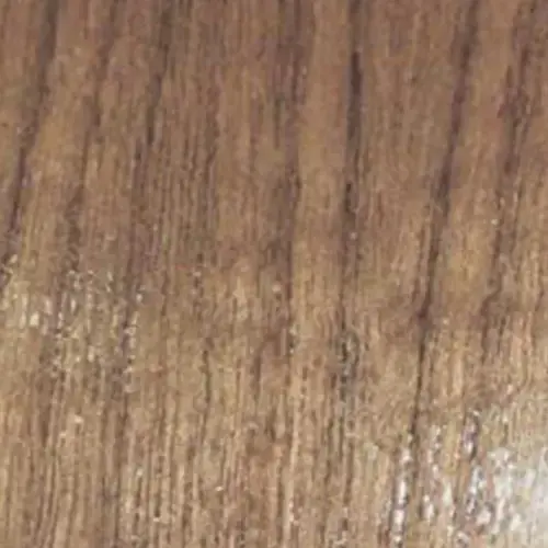 WBSC - 1698 WBSC - 1698