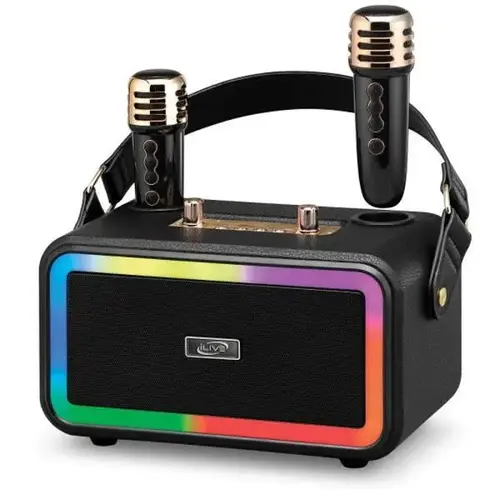 Karaoke+ Wireless Party Machine